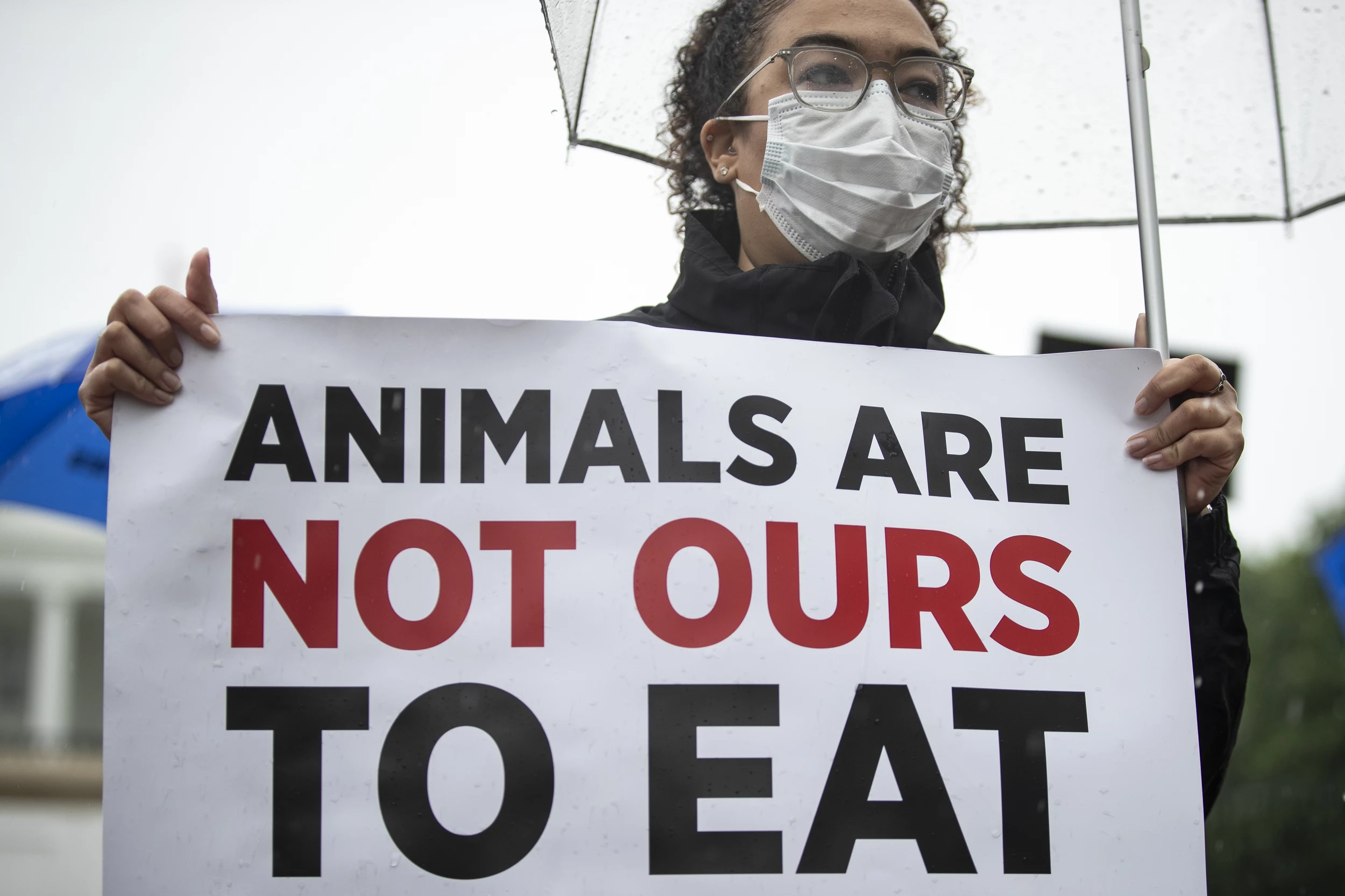 PETA Protests Outside White House Urging Closure Of Slaughterhouses