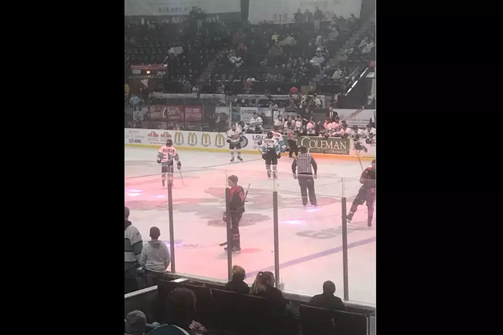 Have You Gone to a Mudbugs Game Yet?