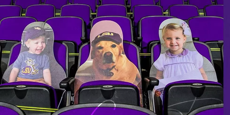 How to Get Your Own Cutout in the Stands at LSU